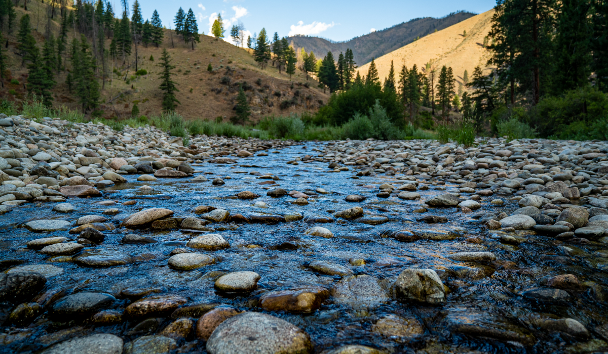 river rocks