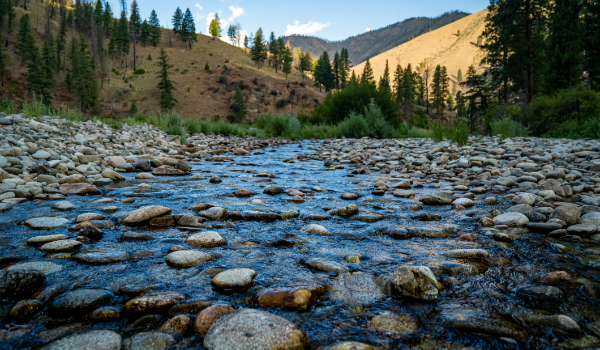 River Rocks on the Salmon River