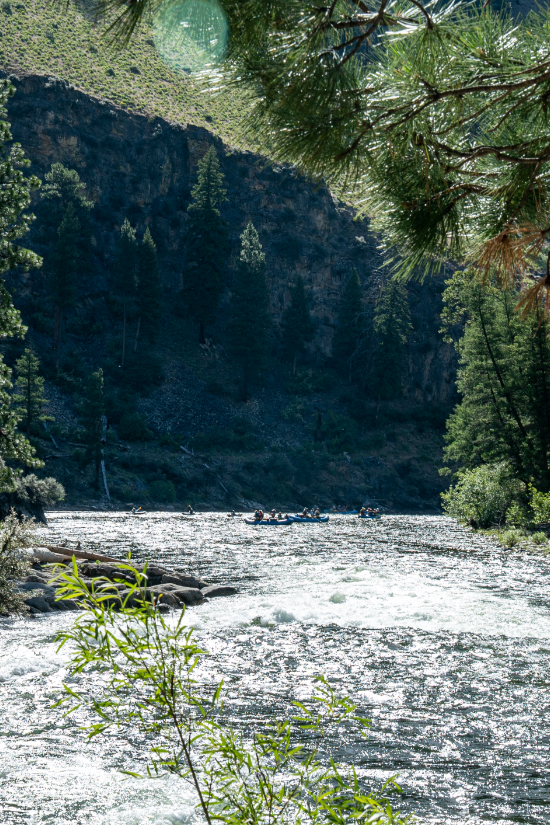 Canyon on the Salmon River white water rafting idaho