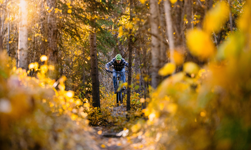 idaho fall mountain biking