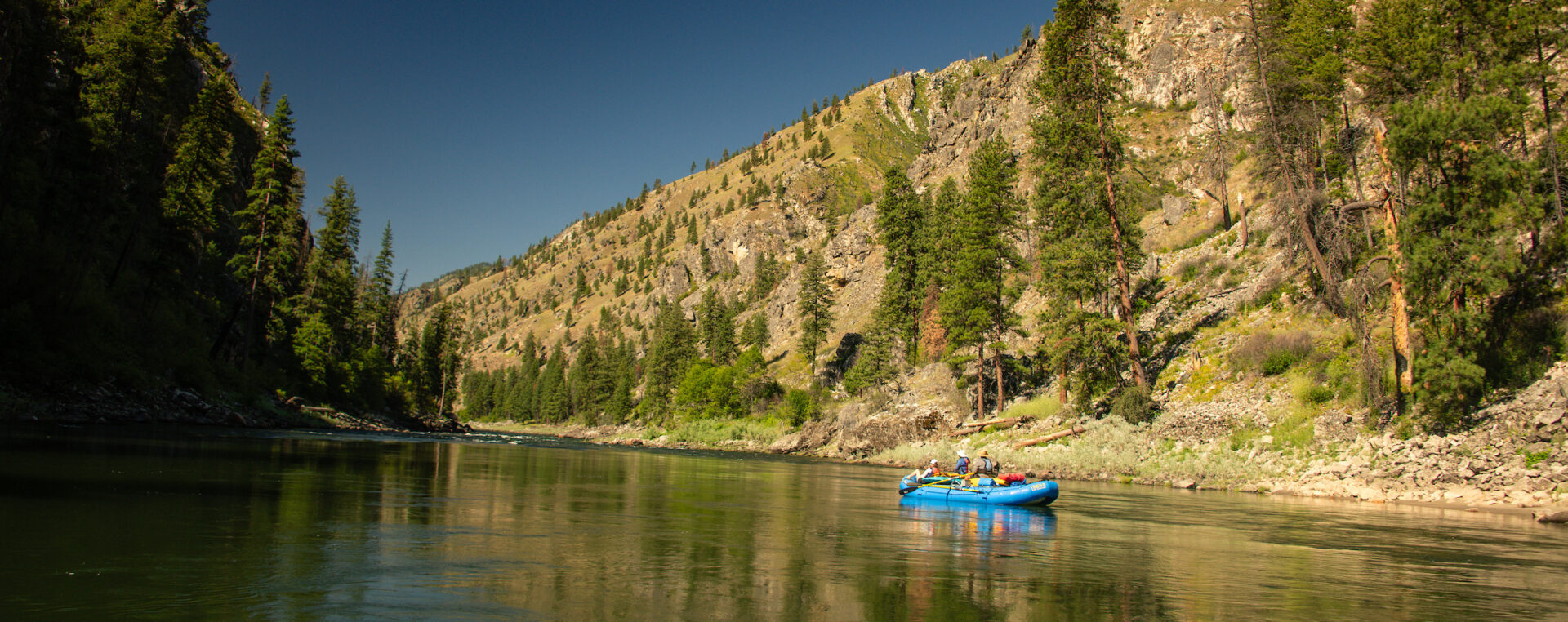 blue raft on a calm section of the main salmon river