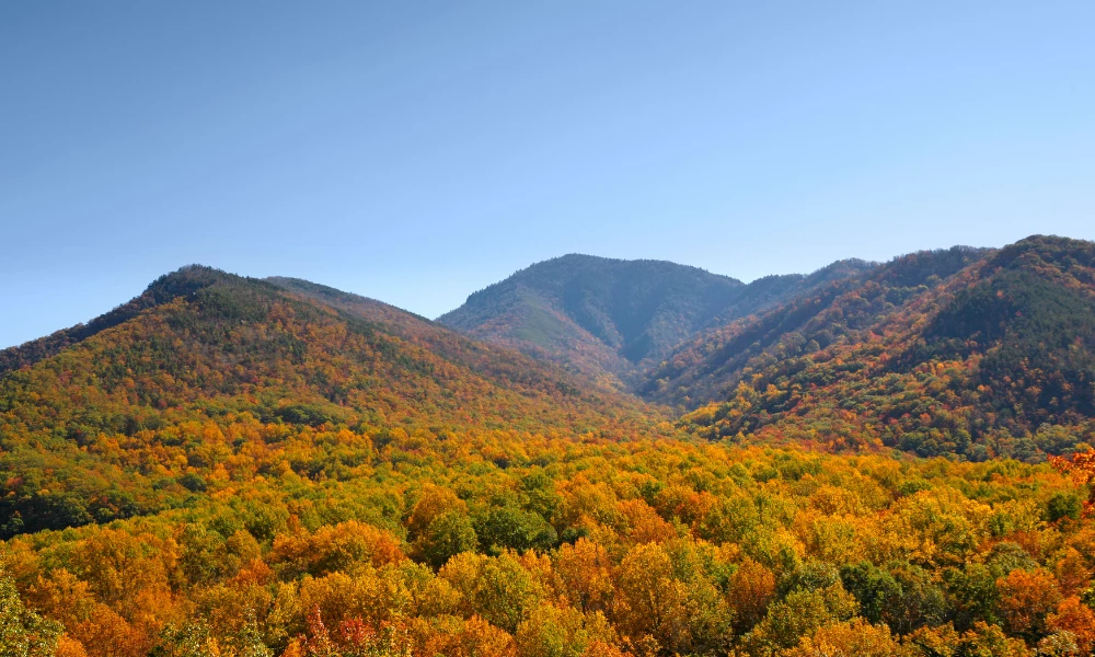 Best Idaho in Fall Activities